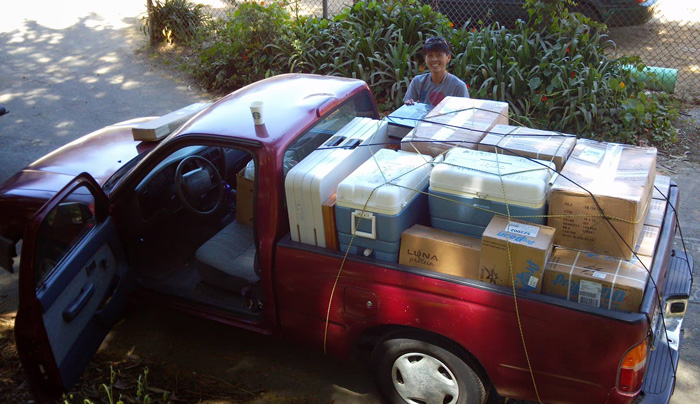 michele-truck